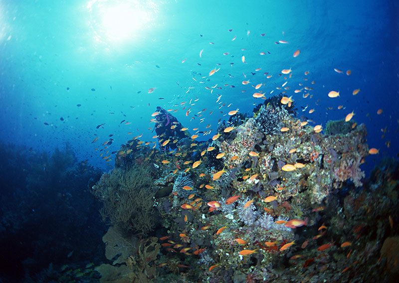 潛水有無(wú)身體條件和年齡限制？