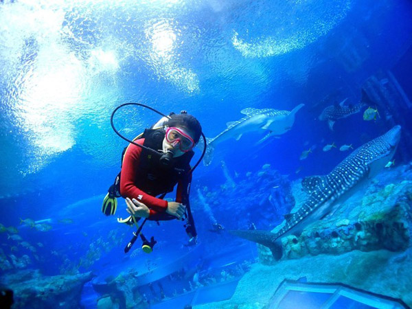 潛在水里，學(xué)做一條靜靜的魚(yú)