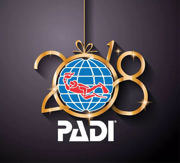 PADI潛水證竟然還有這樣的用途！?。? title=