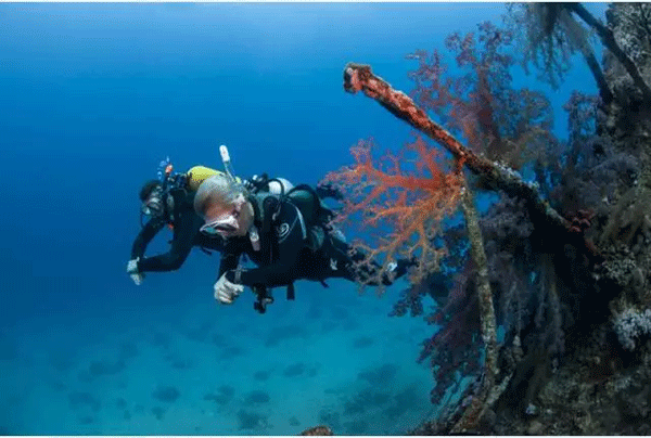 成為潛水員之前的你，是不是也問過這些問題？