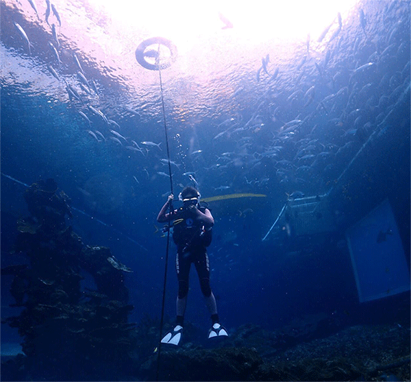 潛水常見問題，原來潛水沒你想的那么難