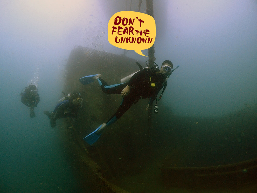 除了俯瞰大地的飛翔，還有潛入海底的翱翔。
