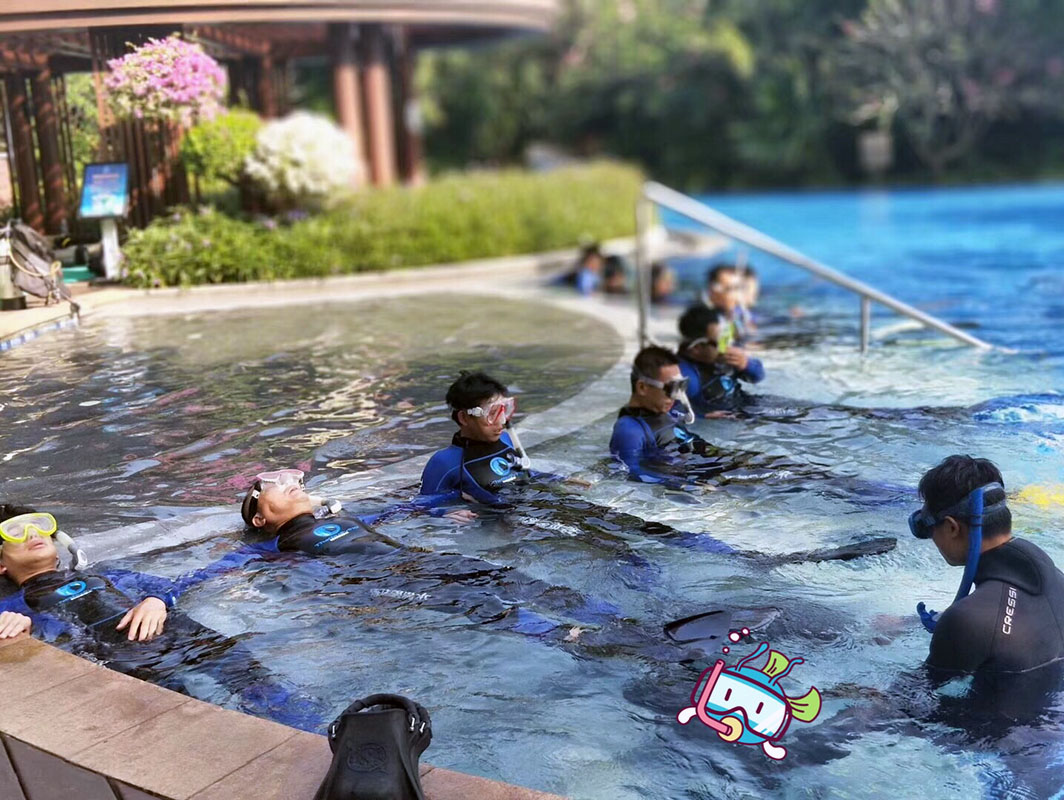 除了俯瞰大地的飛翔，還有潛入海底的翱翔。