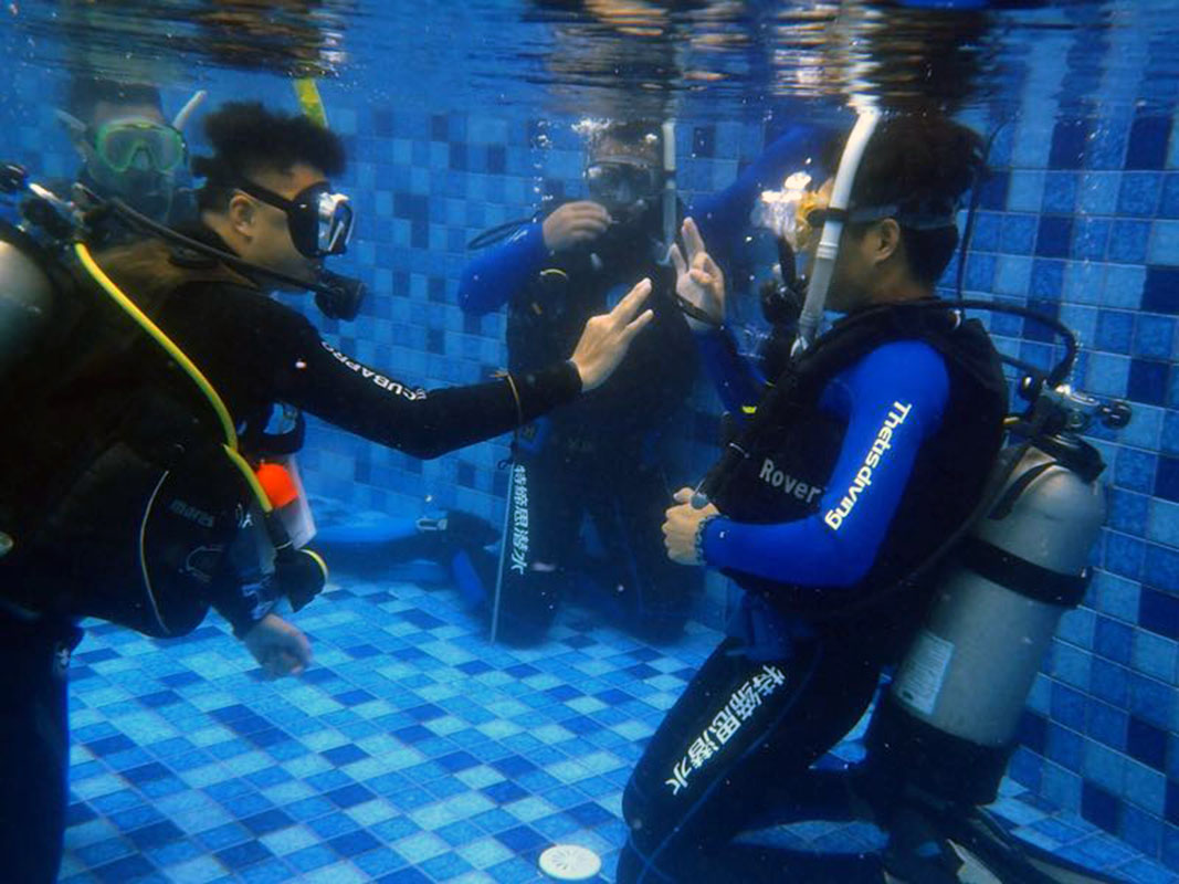 除了俯瞰大地的飛翔，還有潛入海底的翱翔。