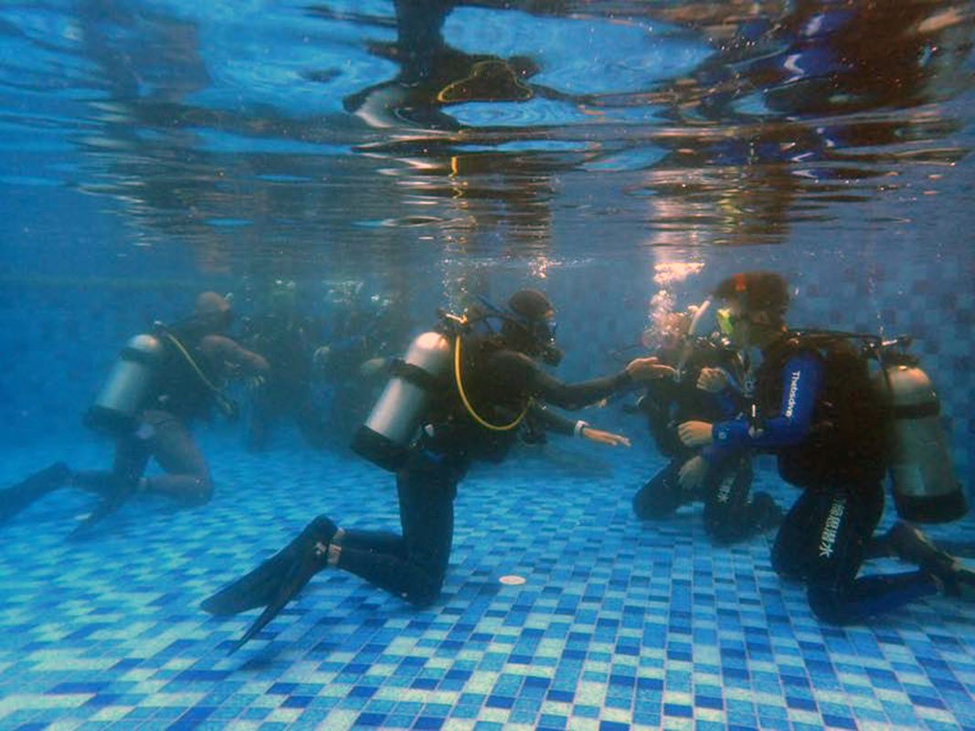 除了俯瞰大地的飛翔，還有潛入海底的翱翔。